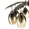Люстра Citilux CL420183